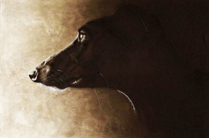 galgo_negro_pintura